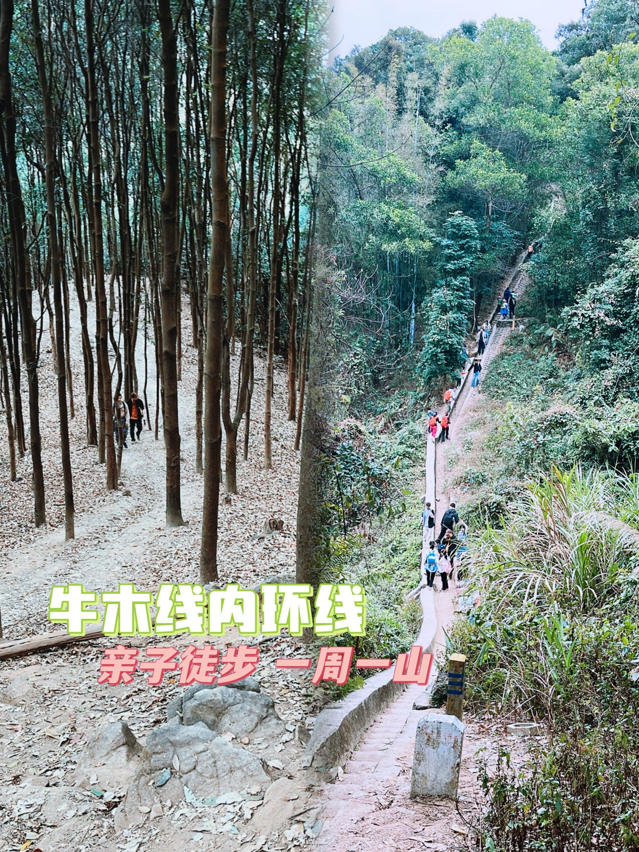 每周⛰️广州牛木线内环线徒步攻略🧗
