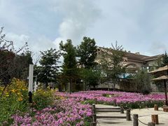 -长白山万达国际度假区