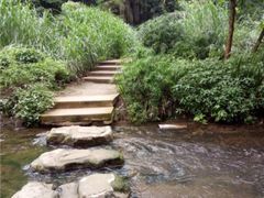 -重庆彩云湖湿地公园