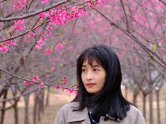 -天适樱花悠乐园