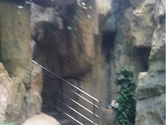 iphone_upload_pic-绿色时代大酒店