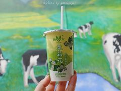 -扬大康源乳业鲜奶吧(大学北路店)