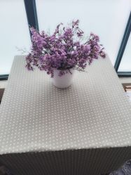 瑜舍连锁瑜伽教室(临平路店)-瑜舍连锁瑜伽