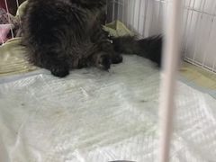 -天津前进宠物医院(前进道店)