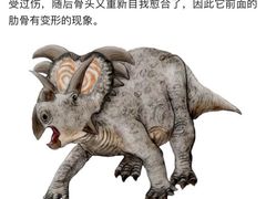 -正佳自然科学博物馆