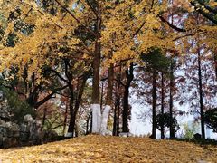 -食膳公园包子铺(烈士公园店)