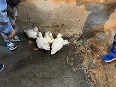 -昆明大悦城未来动物城(螺蛳湾中心店)
