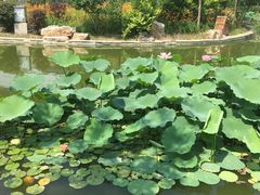 -北京国家会计学院