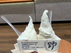 -野人先生现做冰淇淋(北京环宇荟店)