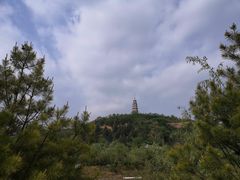 -渭南桃花源民俗文化园