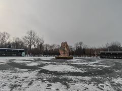 -绿堤公园