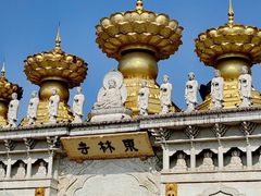 -上海东林寺(金山区)