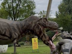 -西部长青自然儿童乐园