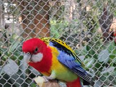 -南宫五洲植物乐园