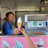 海鸥岛游啊游