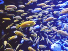 -成都浩海立方海洋公园