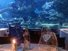 意大利顶级矿泉水-迪拜帆船酒店海底餐厅