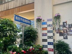 -宝荣鱼馆·临湖之宴(千岛湖店)