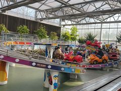 -南宫五洲植物乐园