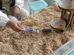 -怪兽屋·羊驼·猫咖·狗咖(俊华广场店)