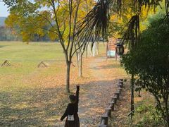 -黄陂区野村谷景区