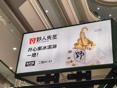 -野人先生Gelato(上海长宁龙之梦店)