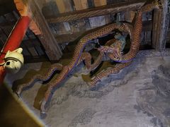 -张掖大佛寺景区