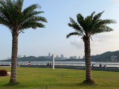 -野狸岛