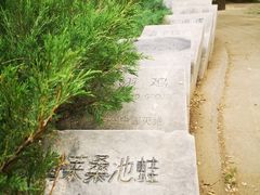 -北京麋鹿生态实验中心