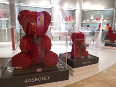 -ROSEONLY诺誓(广州K11店)