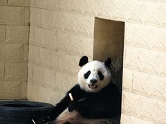 -石家庄市动物园