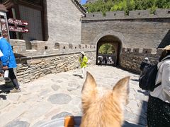 -雁门关景区