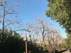 景点-景山公园