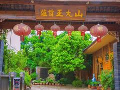 -山大王菌莊