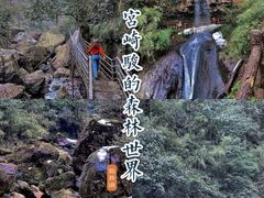 -龙苍沟森林公园