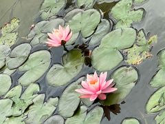-贵阳市花溪国家城市湿地公园