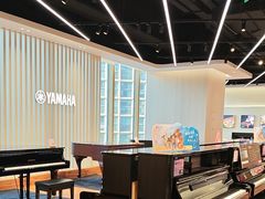 -知音艺术教育培训·钢琴培训·音乐培训(河西金鹰世界校区)