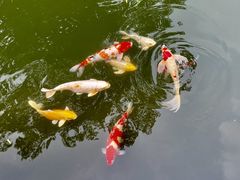-三里河公园