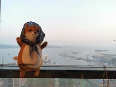 -柴犬小屋·柴餐厅·狗咖食堂(金鼎广场店)