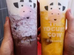 -一只酸奶牛(八一路店)
