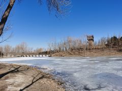 -东郊湿地公园