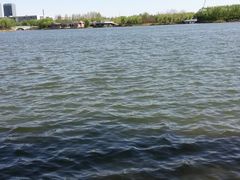 -大兴滨河森林公园