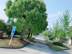 -胜华驾校·小猫学车(银都店)