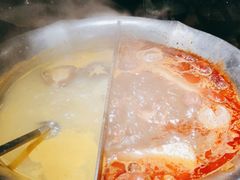 -湊湊火锅·茶憩(石家庄万象城店)