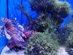 -多彩贵州城极地海洋世界