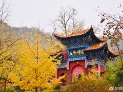 -遵化市禅林寺古银杏风景园