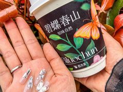 -百分茶(九洲新世界店)