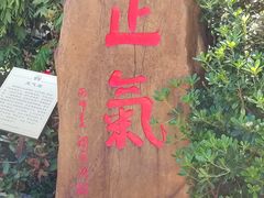 -广州神农草堂中医药博物馆