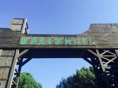 -溱湖国家湿地公园