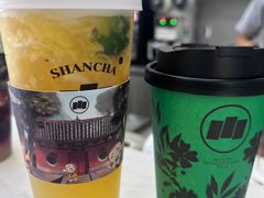 -雾与山茶(大禹城店)